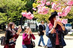 chinese millenial travelers