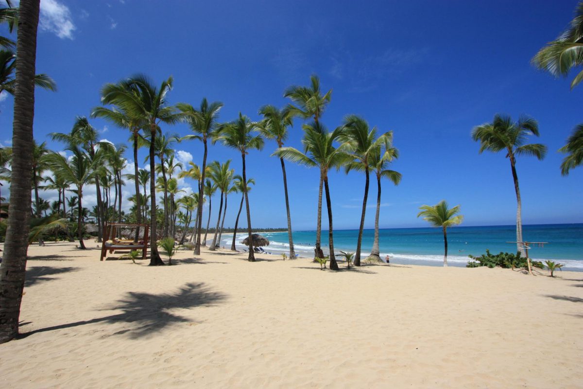 white sand beach palm trees punta cana dominican republic