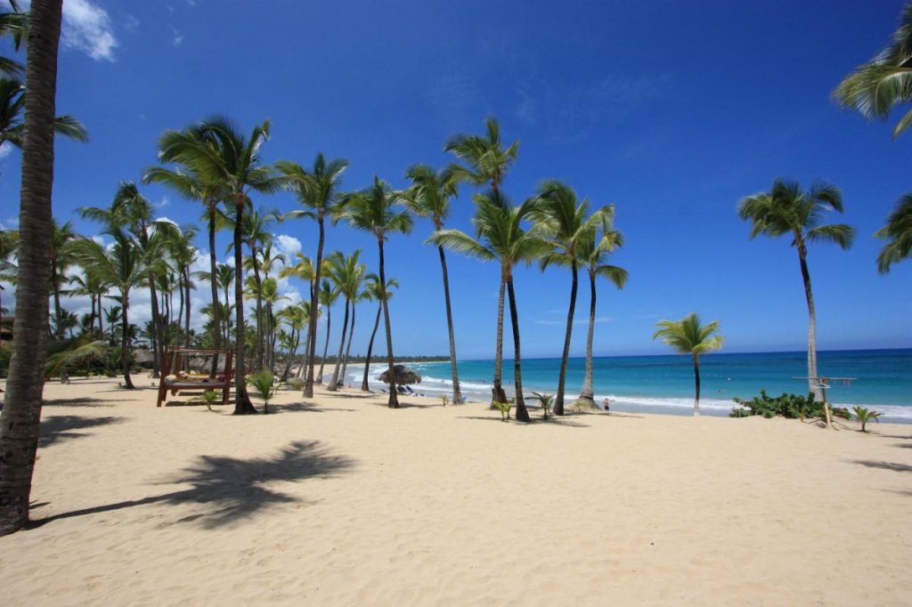 white sand beach palm trees punta cana dominican republic
