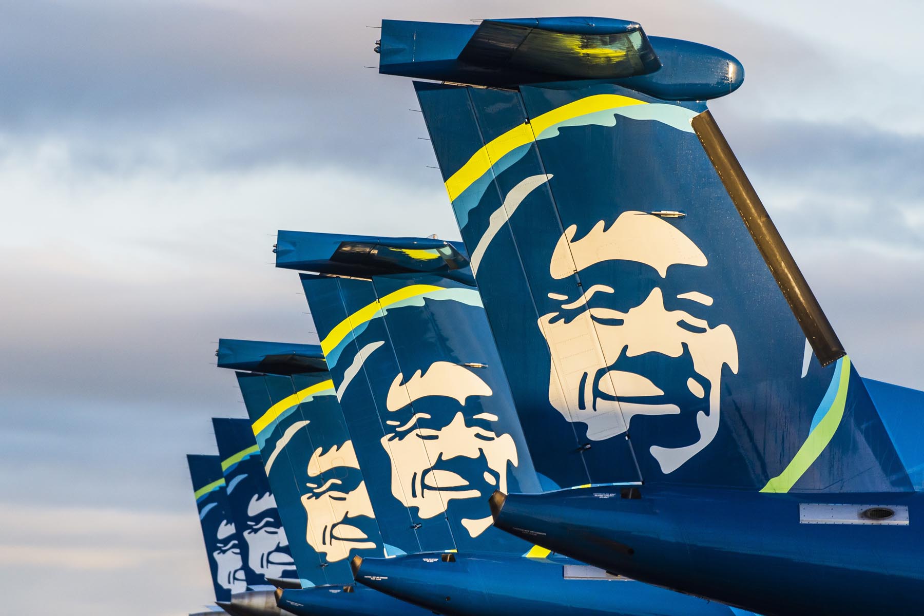 Five aircraft tails from Alaska Airline on the tarmac