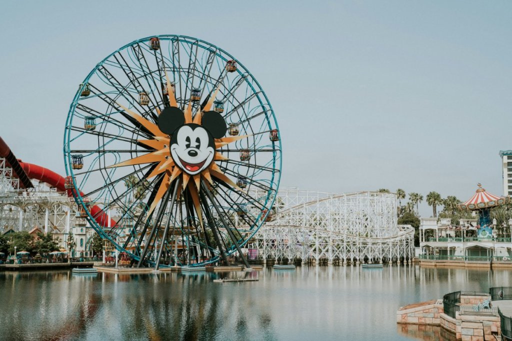 Disney Theme Park