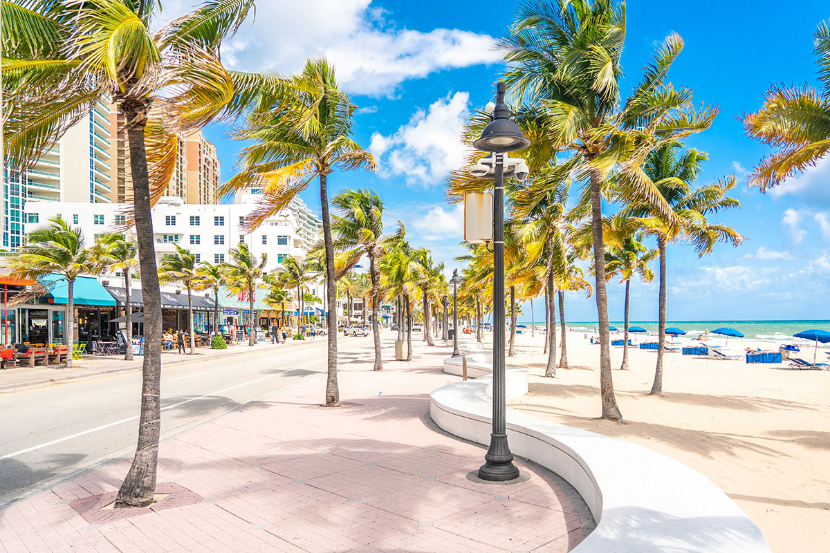 Seafront beach promenade with palm trees on a sunny day