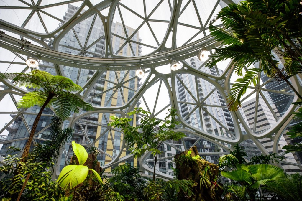 Amazon Spheres at HQ