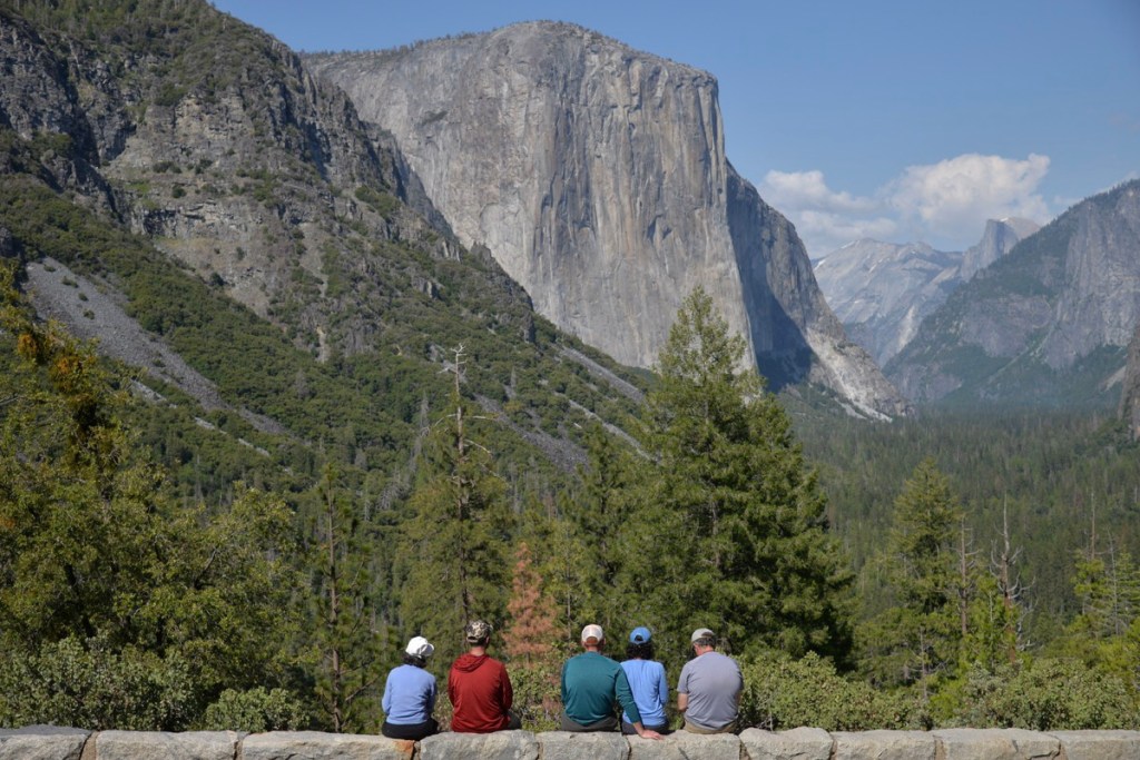 The backs of five people as they look at a giant cliff in a park.