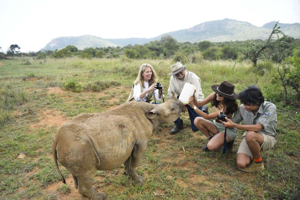 Rhino wildlife tourism